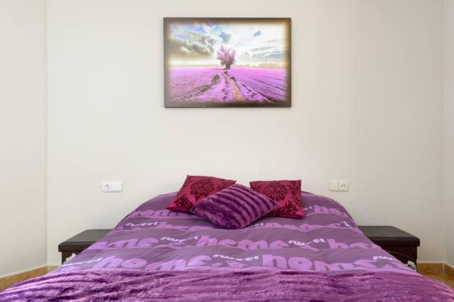 Apartamento En Pleno Centro, Wifi, Ideal Daire Granada Dış mekan fotoğraf